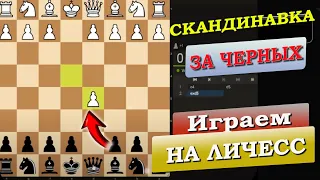 Скандинавская Защита | Играем на Lichess | Шахматы | Черный Король