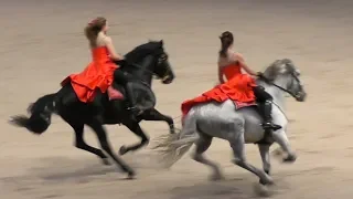 АНДАЛУЗЫ: танец, выездка, галоп! #ИППОсфера 2019 Андалузская порода лошадей Andalusian horse P.R.E