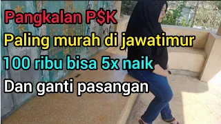 DISINI PUSATNYA P$K SEHARGA KACANG GORENG