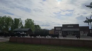 Good Morning Daniel, Wyoming