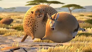 Fat Animals Funny Short Film HD 2022