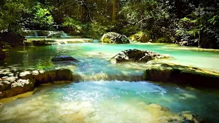 Peaceful forest river. Gentle sounds of running water. Nature sounds for sleep, study, meditation