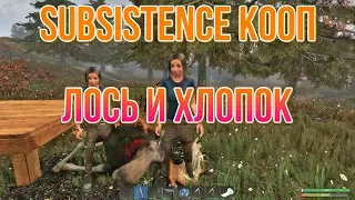 SUBSISTENCE КООП Лось и хлопок