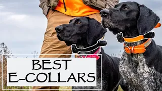 You Ask We Answer - Best E-Collars For Hunting Dogs Episode 33: Part 2