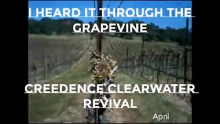 CREEDENCE CLEARWATER REVIVAL-- I HEARD IT THROUGH THE GRAPEVINE (Extended jam version)