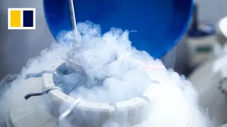 Japan’s egg-freezing industry attracts Chinese women