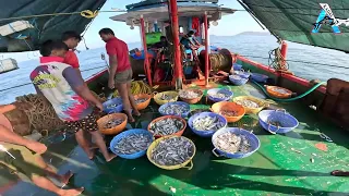 Unbelievable Big Catch Fishing Skill | Fishing Net Video @KadalTv