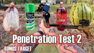 Diana Bandit  22 PCP Air Pistol Penetration Test 2