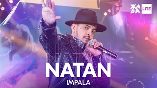 NATAN - Impala /// ЖАРА LITE