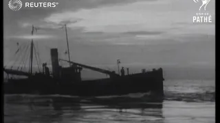 Ships arrive with herring harvest (1948)
