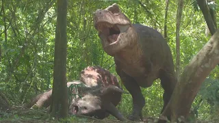 Tyrannosaurus Rex Feeding on Triceratops | Prehistoric Planet