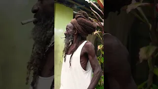 Would you smoke with this Rastafarian man?😳🤯#shorts #jamaica #rasta #rastafari #wisdom #lion #fire