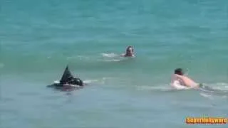 Акула на пляже! epic shark prank