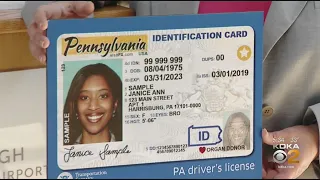 Does Everyone Need Real ID?