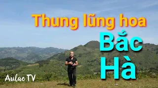 Thung lũng hoa Bắc Hà - điểm đến Tây Bắc