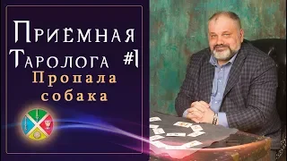 Приёмная Таролога #1: Неоднозначная карта Смерти. Расклад Таро на ситуацию | Судьба собачки.