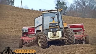 Wiosna 2017 w Gospodarstwie Rolnym Mokrzyn