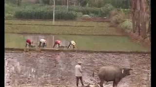 China, farmers of Tuanshan