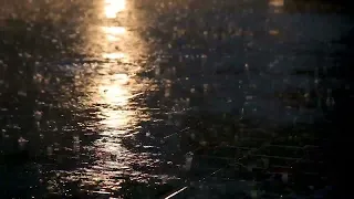 Rain in Street | Nature asmr | Dream asmr | Pillow Dream ASMR #asmr #rainsounds  #naturesounds