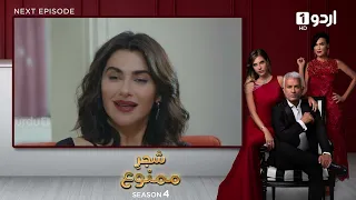 Shajar-e-Mamnu | Episode 336 Teaser | Turkish Drama | Forbidden Fruit | Urdu Dubbing | 23 March 2022