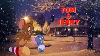 Tom & Jerry l Classic Cartoon Compilation l WB Kids l Diwali Celeb. #shorts #youtubeshorts #ytshorts