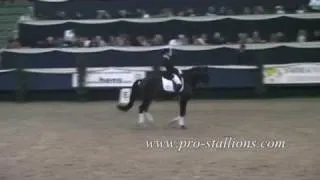 Dressage~Cathar Rhythm