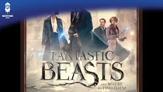 Fantastic Beasts and Where to Find Them Offiical Soundtrack | Tina Takes Newt In | WaterTower