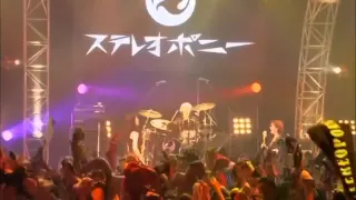 【中日歌詞】STEREOPONY - ヒトヒラのハナビラ（Final Live）