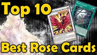 Top 10 Rose Cards in YuGiOh