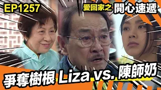 愛．回家之開心速遞 | 爭奪樹根 Liza vs 陳師奶