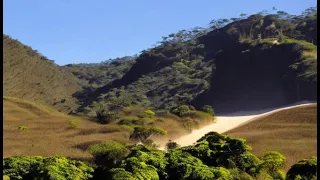 Madagascar Unveiled: Top 10 Must-Visit Spots