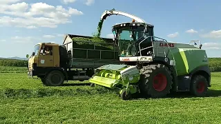 Senaže 2024 tráva CLAAS AXION 960,NEW HOLLAND T6 180, CLAAS JAGUAR 940