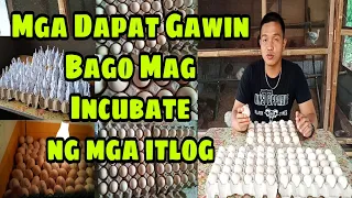 TIPS FOR EGG INCUBATION! MGA DAPAT GAWIN BAGO MAG INCUBATE NG ITLOG SA INCUBATOR