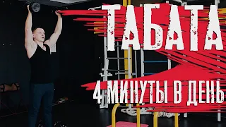 Сушка тела! Как убрать живот  за 4 минуты? Тренировка табата.