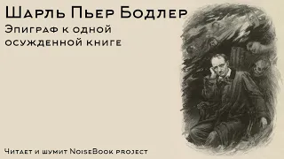 Шарль Бодлер — Эпиграф к одной осужденной книге (Цветы зла)