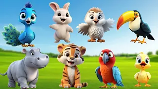 Learn about familiar animals, animal sound : Horse, Elephant, Deer, Lion, Hippo,Tiger, Cat, Rabbit