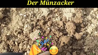 Kleine alte Münzen gefunden mit dem Metalldetektor.Schatzsuche.Sondeln