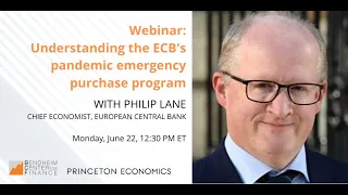 Philip Lane on understanding the ECB’s pandemic emergency purchase program (PEPP)