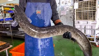 Giant Eel Cutting Skills, Giant Eel Steak / 巨大鰻魚切割技能, 鰻魚肉排 - Taiwanese Food