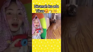 Nangis Kejer Dirumah ku ada Tikus ! Tolong #shorts Nasya kaila Nazifah