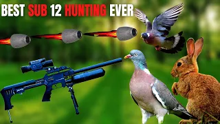 The Best Sub 12 Rabbit Hunting Video Ever - Fx impact .177