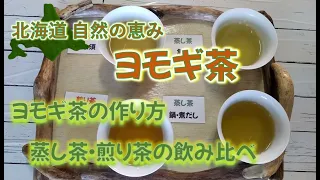 自然の恵み ヨモギ茶 作り方と飲み比べ