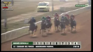 Live Hippodrome « El Jadida » | Courses du « 05/09/2020 »