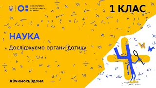 1 клас. Наука. Досліджуємо органи дотику (Тиж.5:ЧТ)