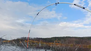 🎏вот это рыбалка на реке кова!!🚣‍♂️