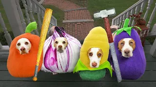 Dogs Steal Neighbor's Candy on Halloween: Bad Dog Maymo & Friends Trick-or-Treat Prank!