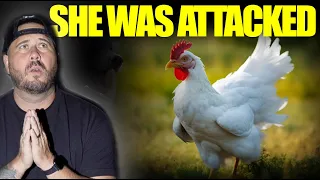 Something Attacked My Chickens!