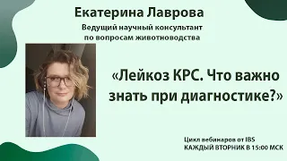 13.02 Екатерина Лаврова «Лейкоз КРС. Что важно знать при диагностике?»