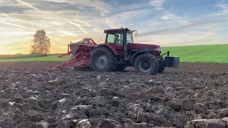 EXTREME CONDITIONS | Setí po orbě | Case Magnum 7240 Pro + Kuhn Venta AL402 | Original sound