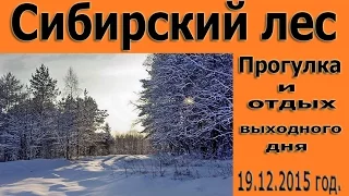 "Сибирский лес"Прогулка и отдых выходного дня 19.12.2015 год.